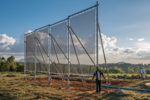 MicrosoftTeams-image-2